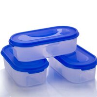 KITCHEN STORAGE CONTAINER FOR MULTIPURPOSE USE (500ML) (2332)