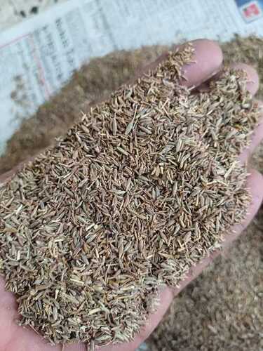 Brown Cumin Seeds (Crushing Quality)