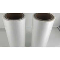 Painted Lamination Roll