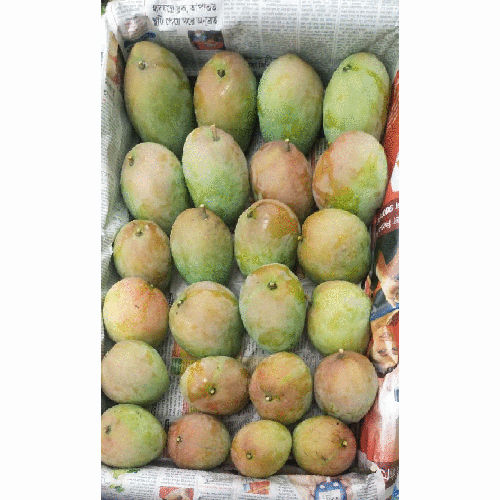 Fresh Fazli Mango