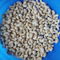 Common White Cashew Nut