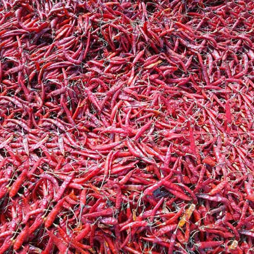 Fresh Red Chilli Grade: First Class