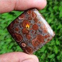 Astroide Jasper Cabochon