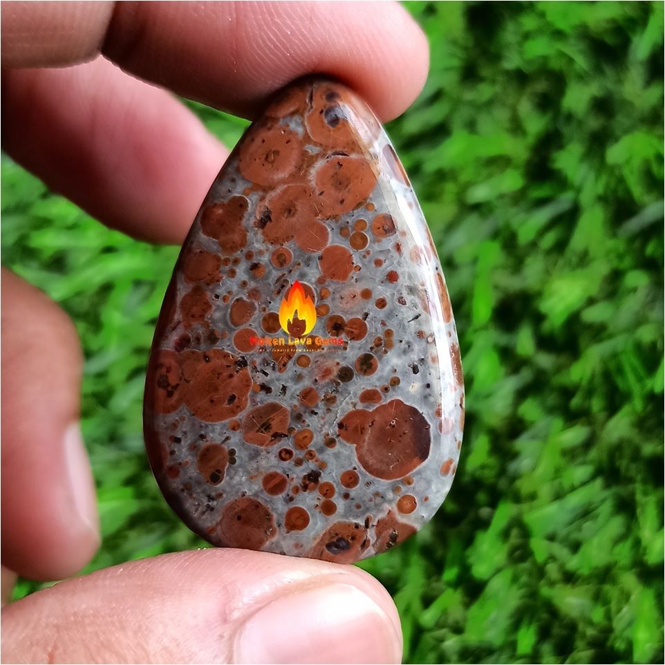 Astroide Jasper Cabochon