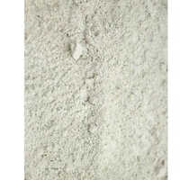 Activated Diatomaceous Earth Powder
