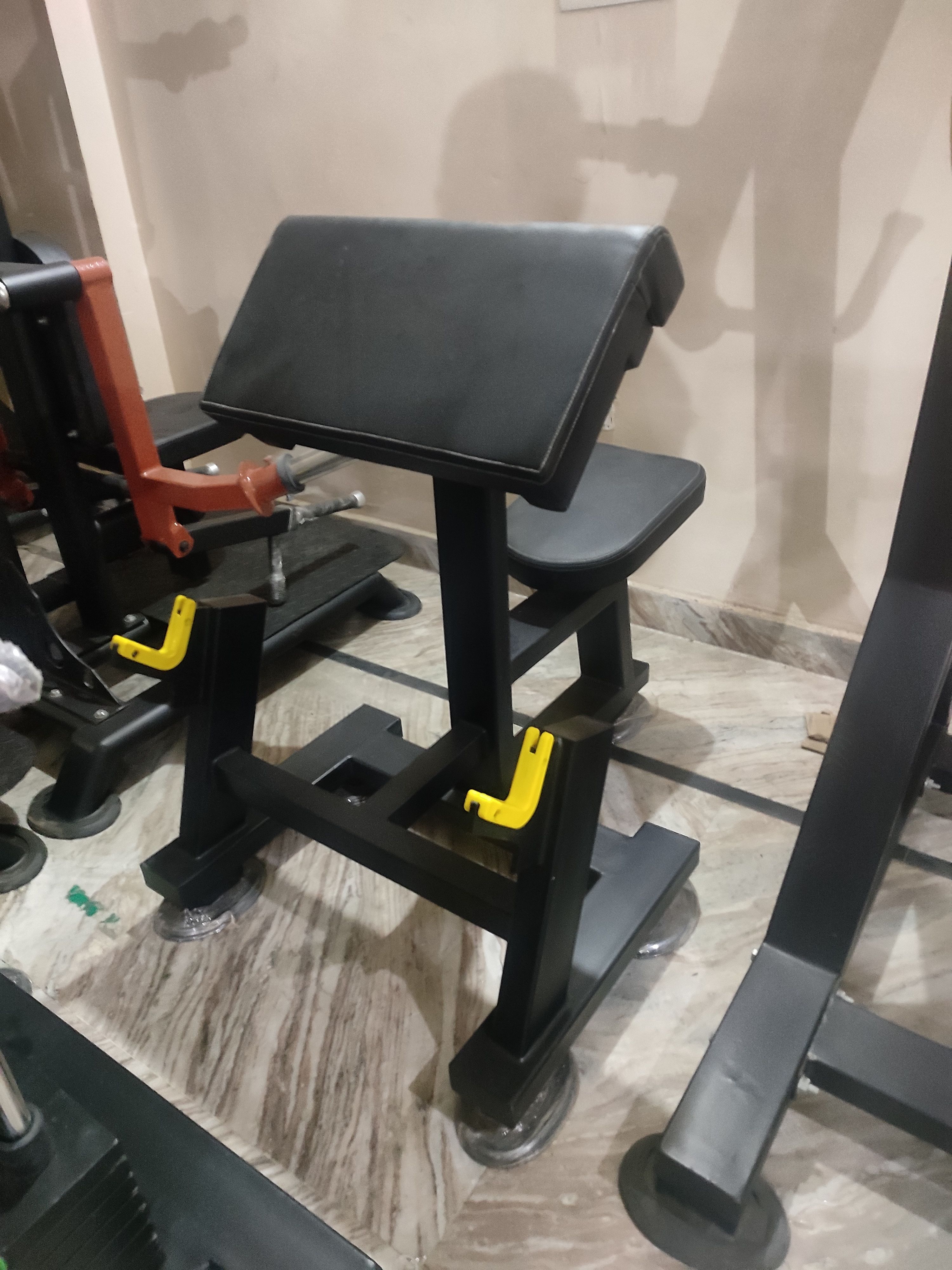 Preacher Curl Bench