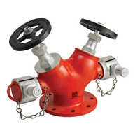 Double Outlet ( Type B ) ISI Marked Stainless Steel Hydrant Valve