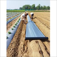 Chilli Cultivation Mulching Film