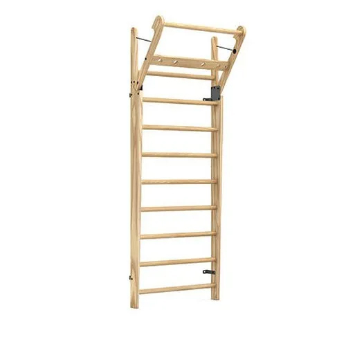 Wall Bar Therapy Ladder