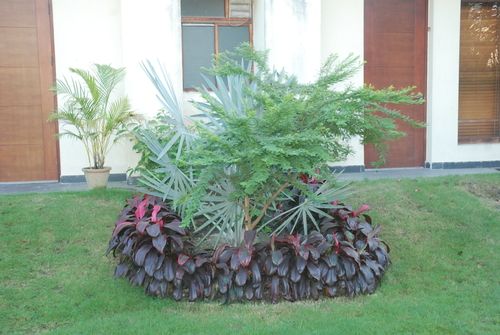 Plantation Bed Landscaping Services