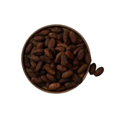 cocoa powder China manufacturer Roast Single Ghana Cocoa bean CNN51 made from West Africa