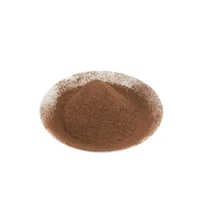 Industry cocoa factory low cost Natural Cocoa powder made from West Africa cocoa beans