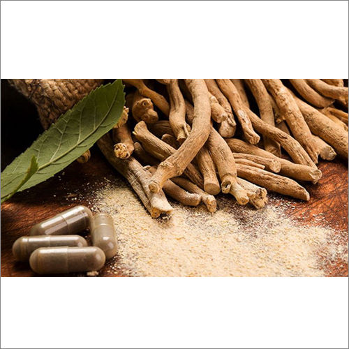 Ashwagandha Roots Extract