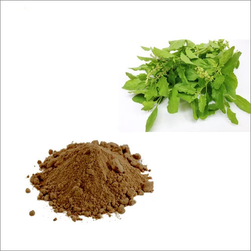 Tulsi Extract Tannins