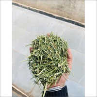 Kalmegh Chirayta Ingredients: Herbal Extract