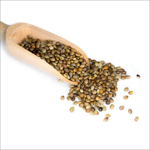 Organic Toasted Vijaya Hempseeds