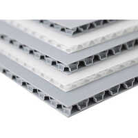 PP Bubble Guard Sheet