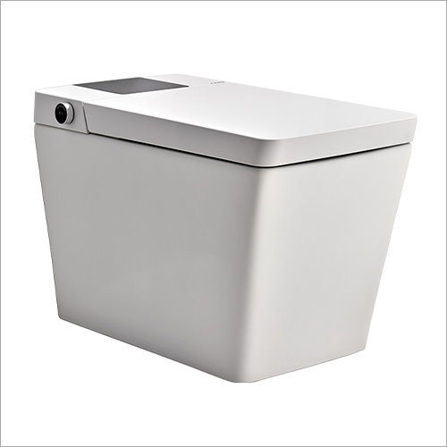 White Luxury Smart Ewc Toilet