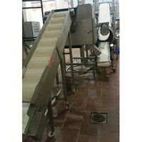 Food Processing Conveyor