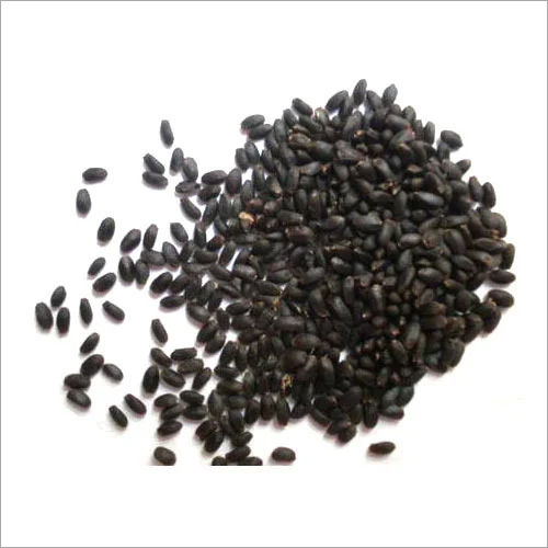 Medicine Grade Basil Seeds Purity: 99%