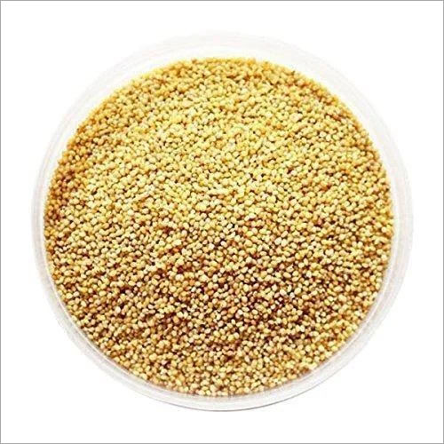 Yellow Foxtail Millets