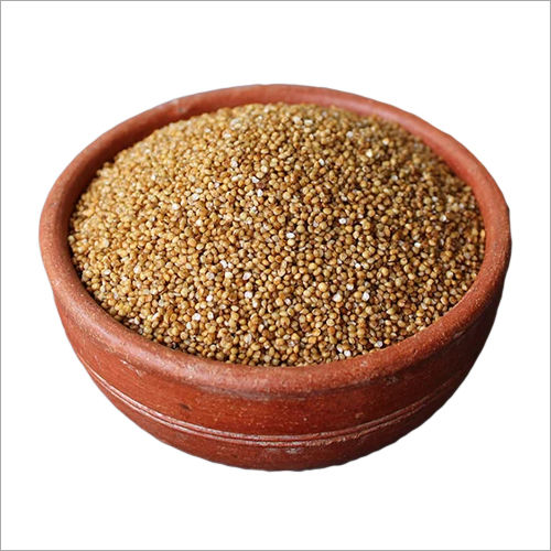 Organic Foxtail Millet Purity: 99%