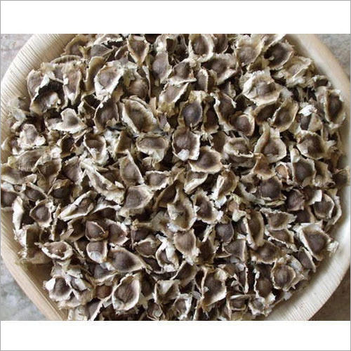 Moringa Dry Seeds