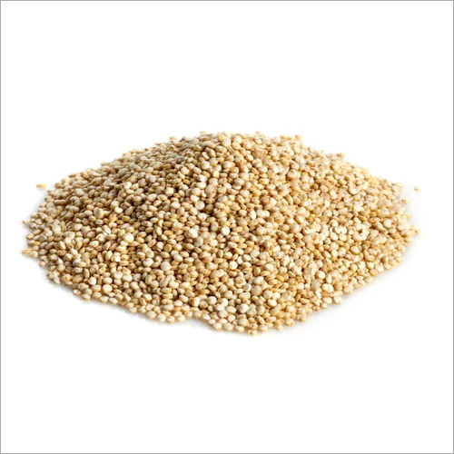 Organic Moringa Seed