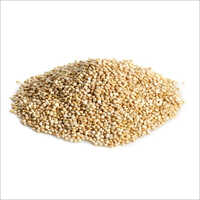 Organic Quinoa Seeds