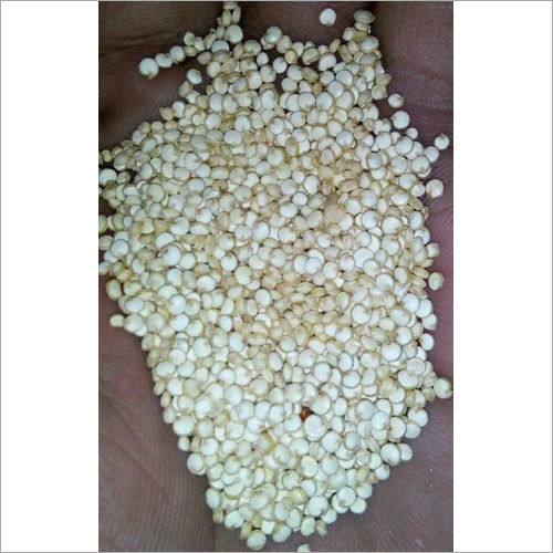 White Quinoa Seed