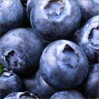 Frozen Blueberry fruits