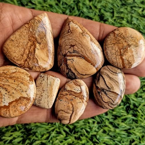 Picture jasper Cabochon