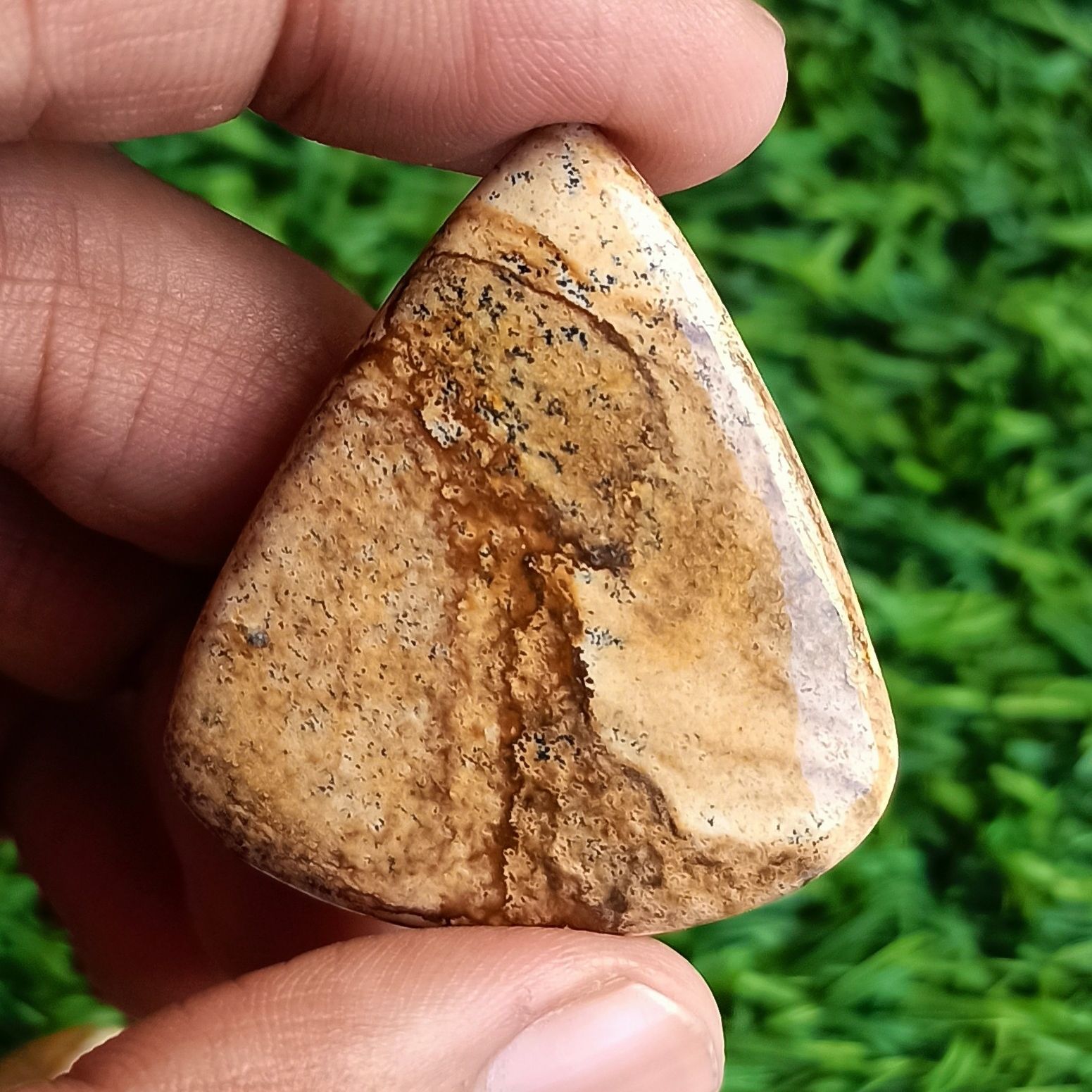 Picture jasper Cabochon