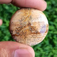 Picture jasper Cabochon