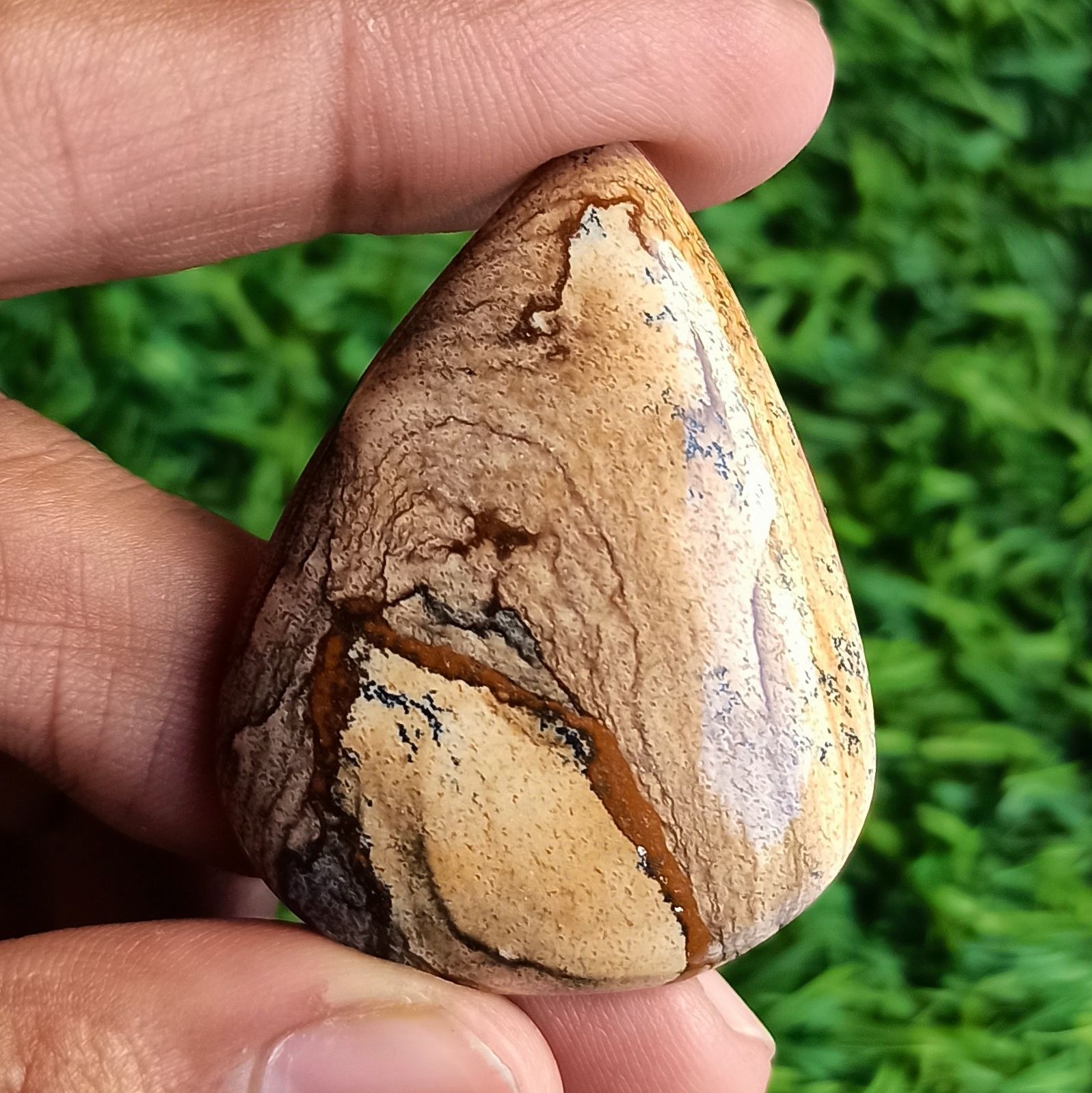 Picture jasper Cabochon