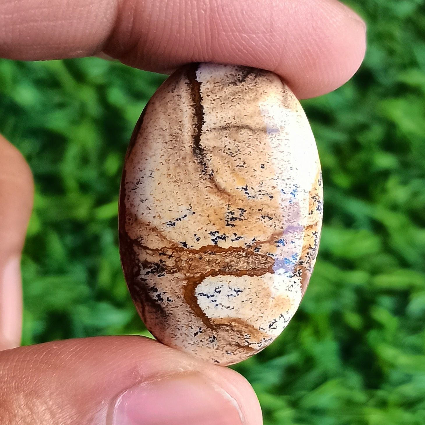 Picture jasper Cabochon