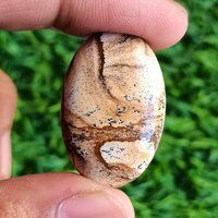 Picture jasper Cabochon