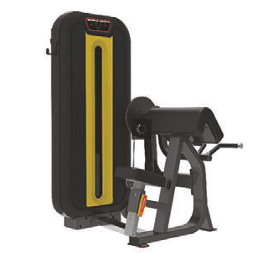 Arm Extension And Curl Application: Gain Strength