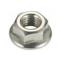 Flange Nut