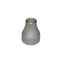 Silver Pipe Fitting Reducer