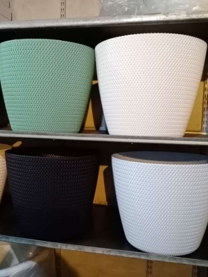 Imported singapore Plant pot