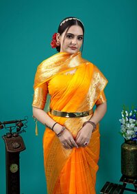 Pure Jaqucard Organza Silk Saree With Sequnce Saree
