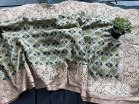 Soft Handloom Mulmul Cotton With Patola Saree