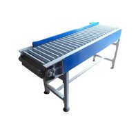 Blue And White Roller Chain Conveyor