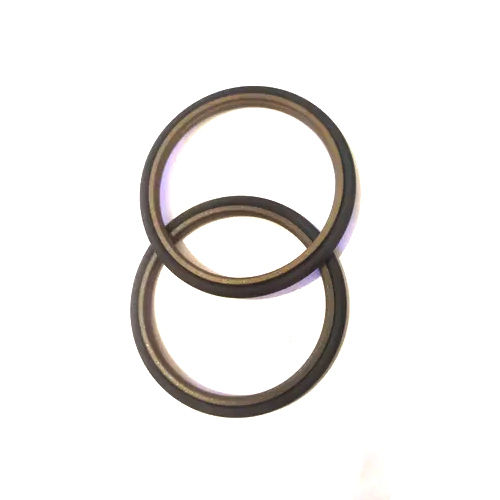 Black Nitrile Aib Oil Seal