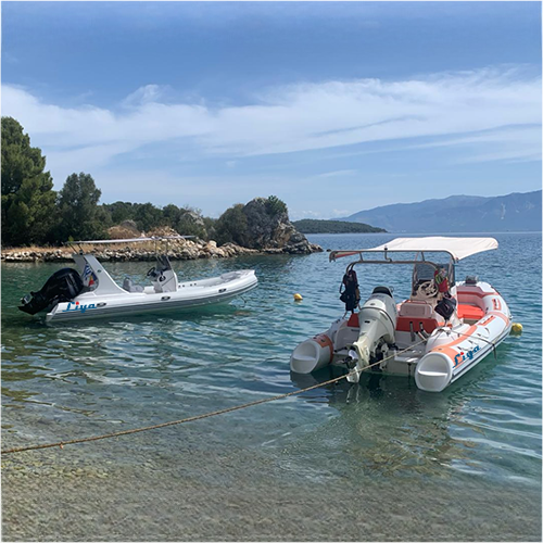 China 620 inflatable sport boat for sale