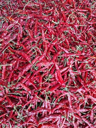 Teja Red Chilli