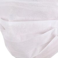 White Non Woven Face Mask