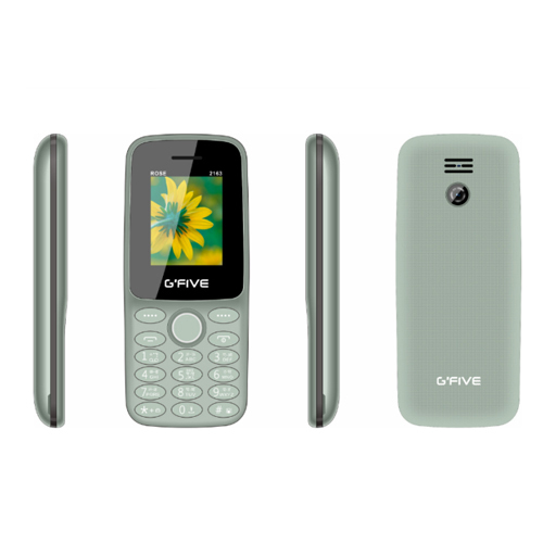 2163 Keypad Phone Body Material: Plastic & Glass