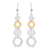 Open And Close Graduated Hexagon Earrings